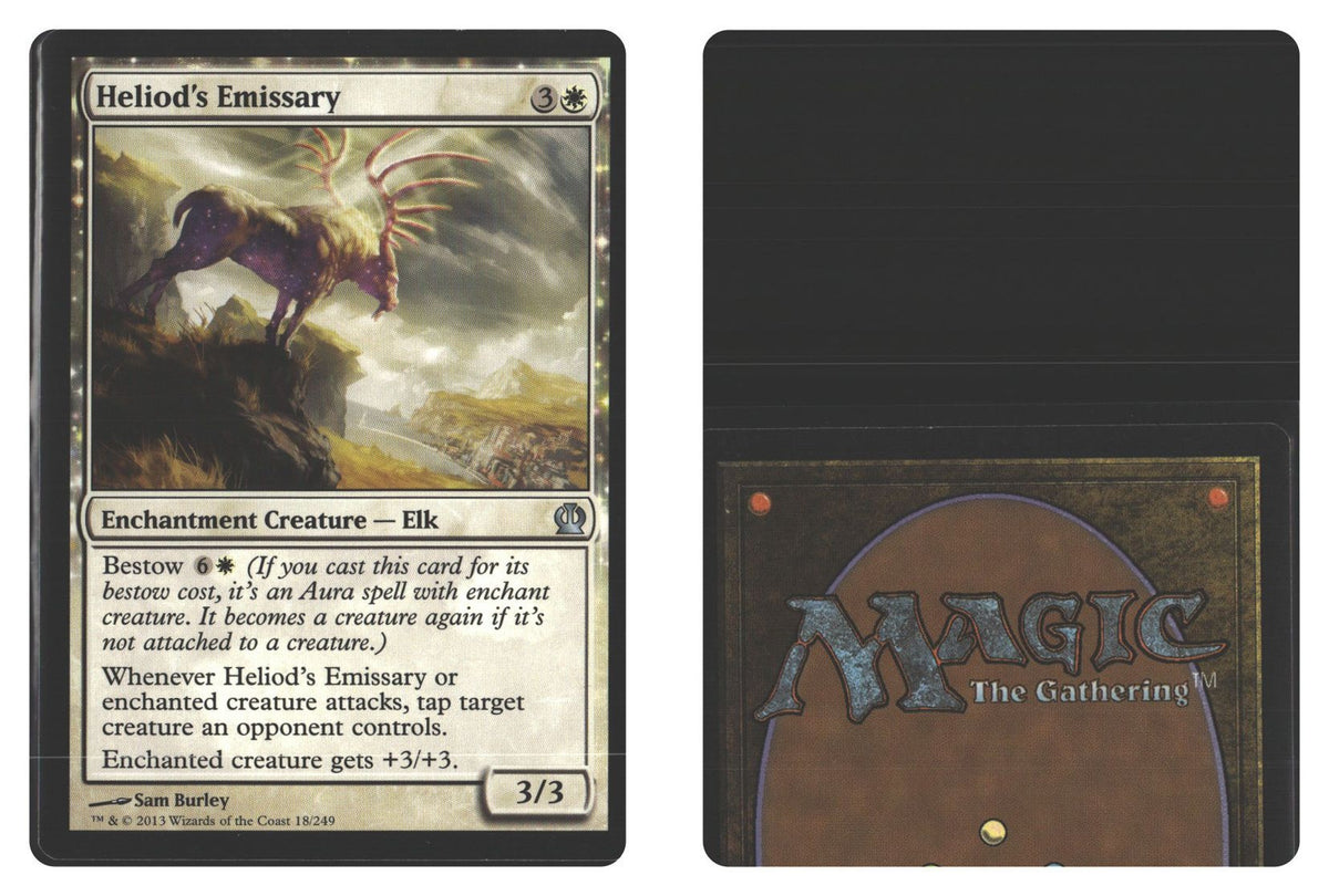Front + Back scan