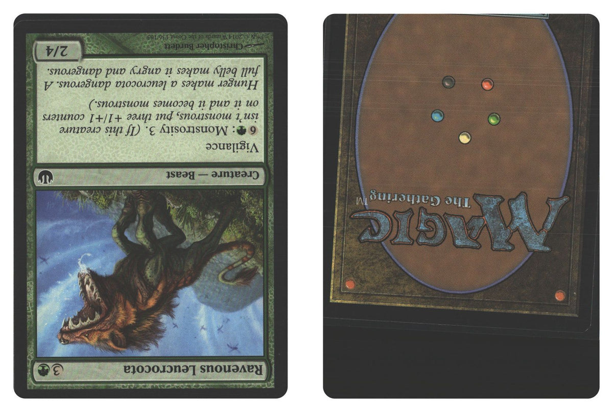 Front + Back scan