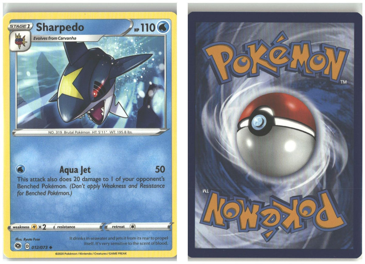 Front + Back scan