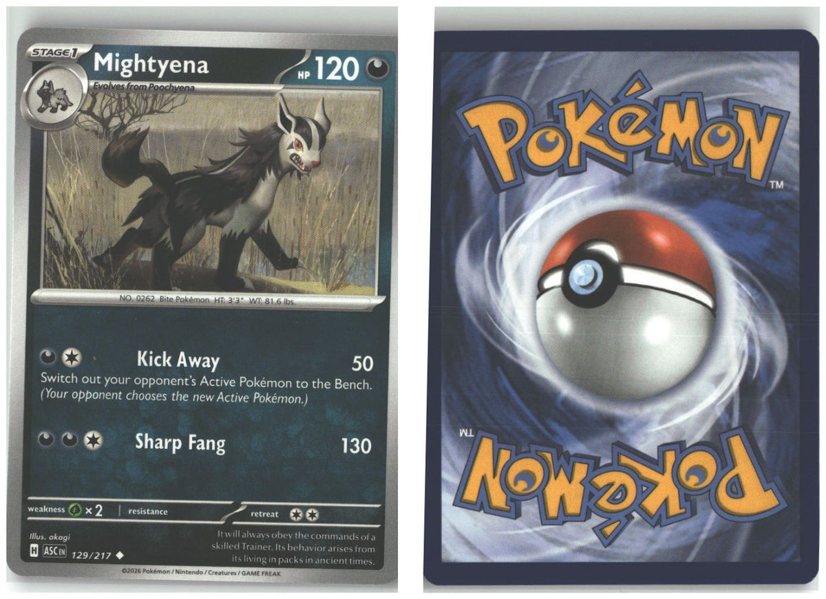 Front + Back scan