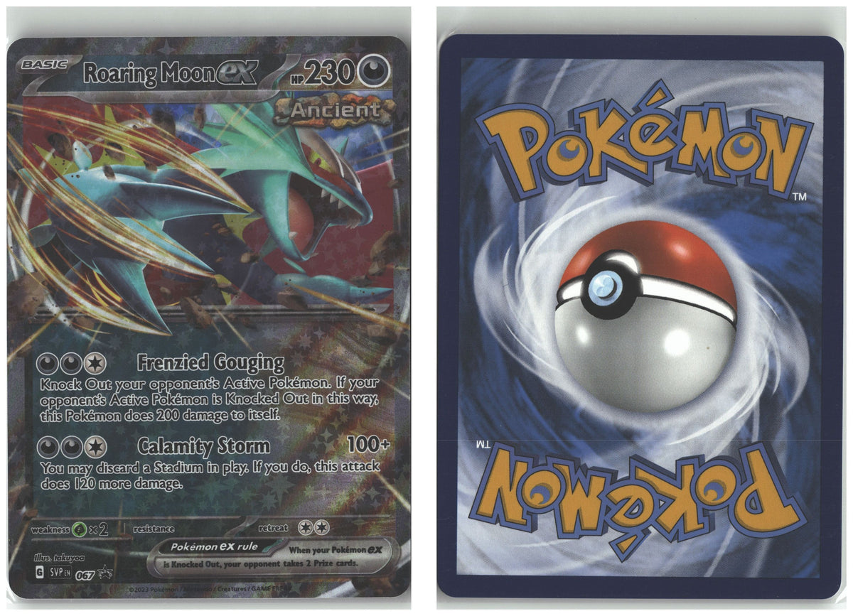 Front + Back scan