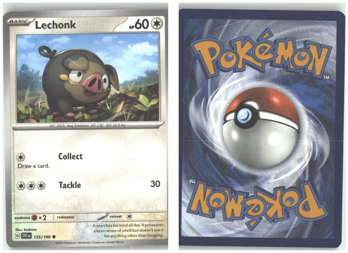 Front + Back scan