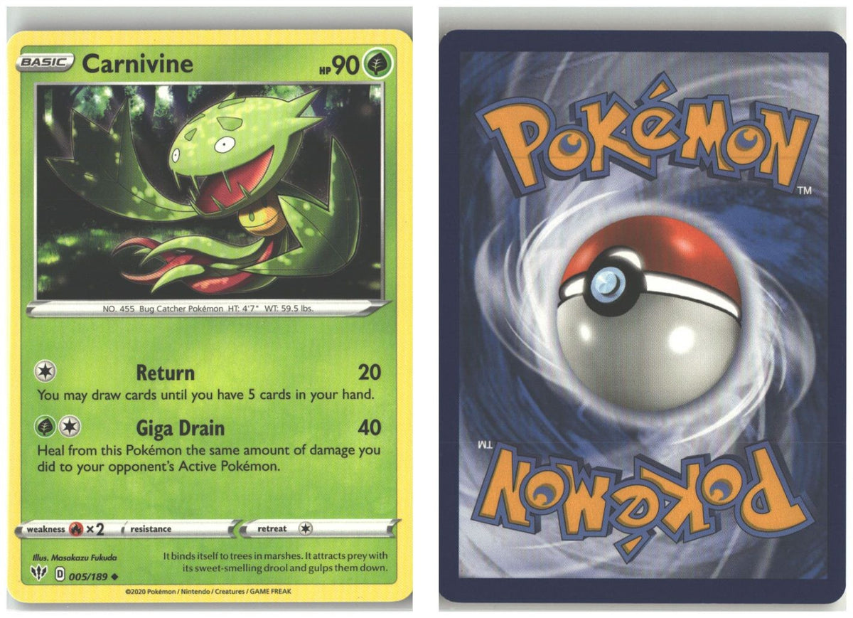 Front + Back scan