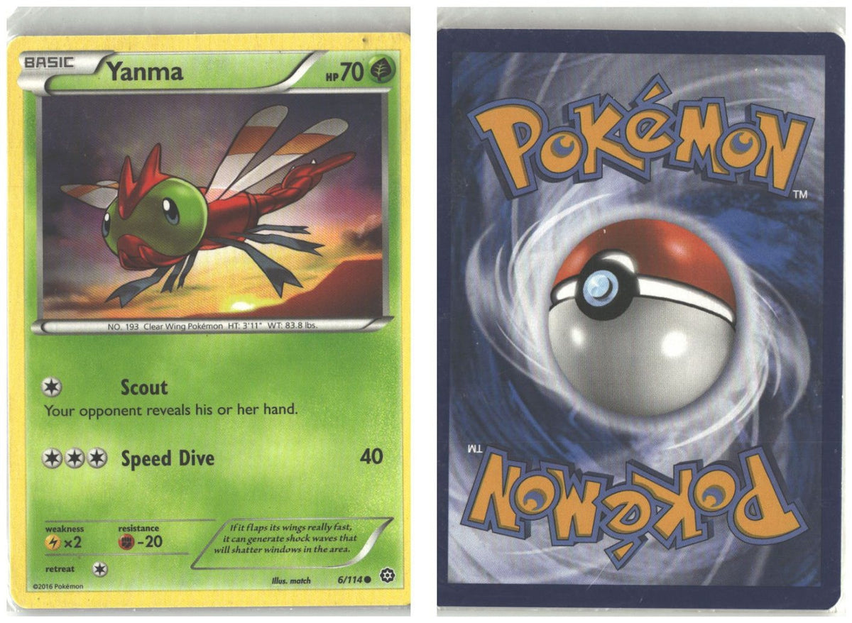 Front + Back scan