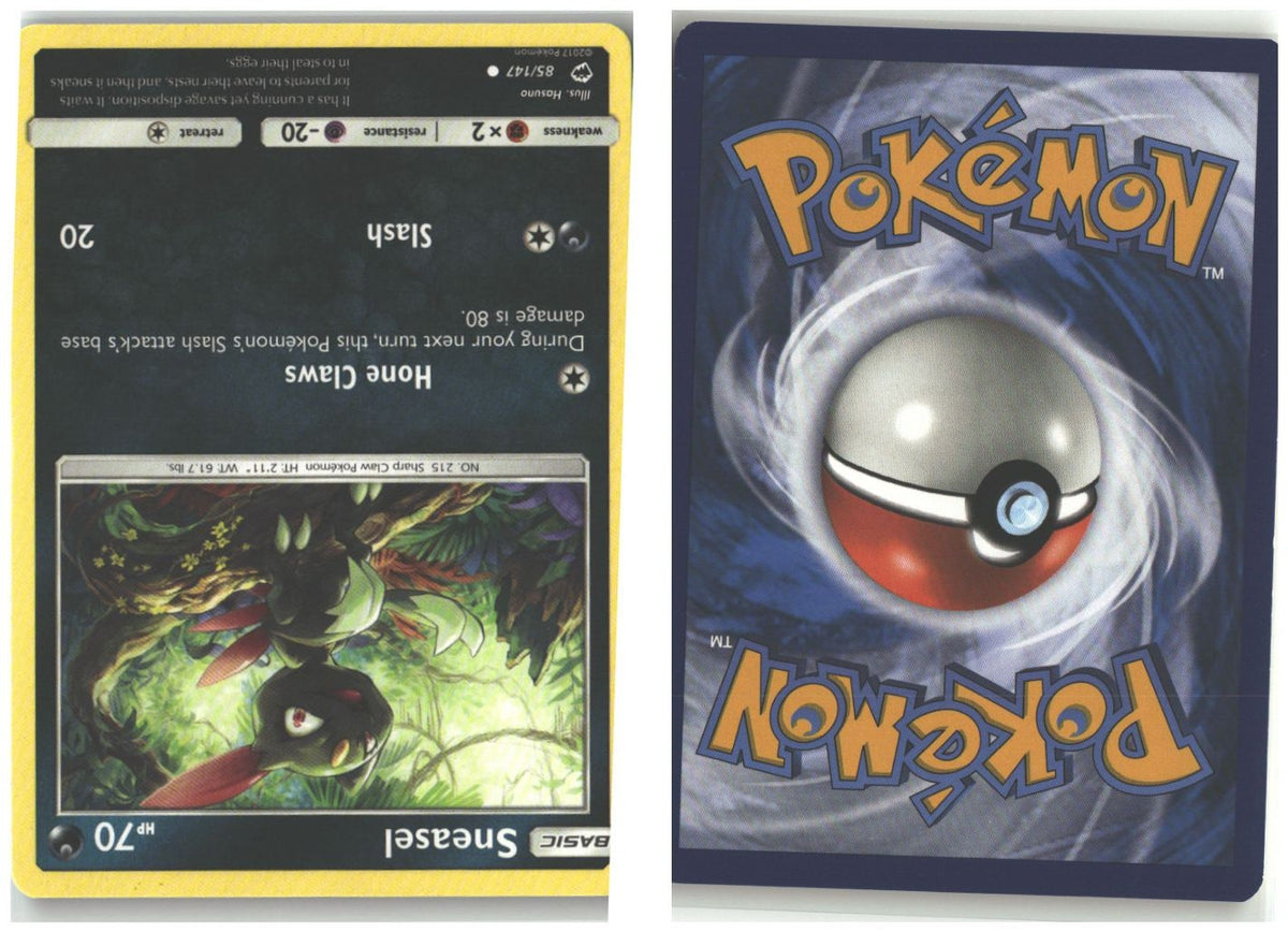 Front + Back scan