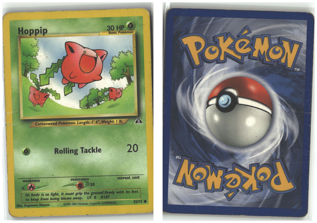 Front + Back scan