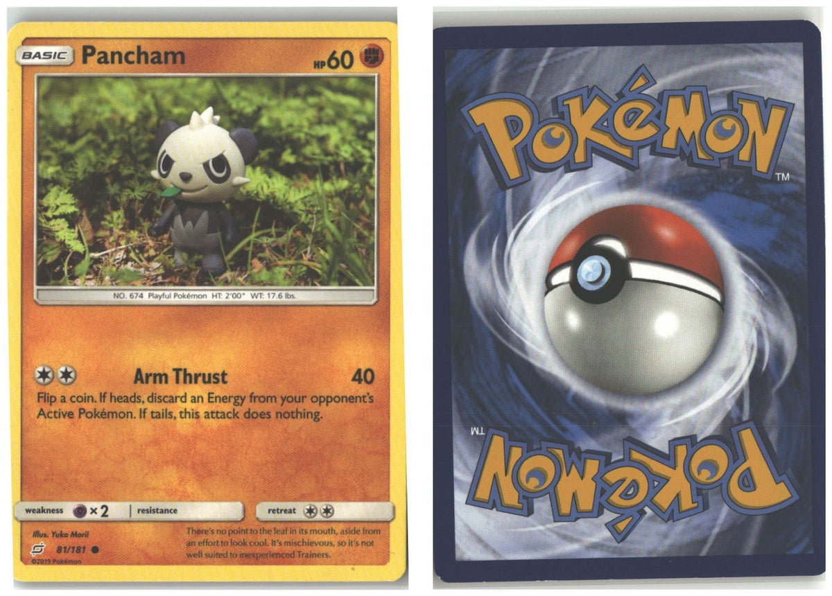 Front + Back scan