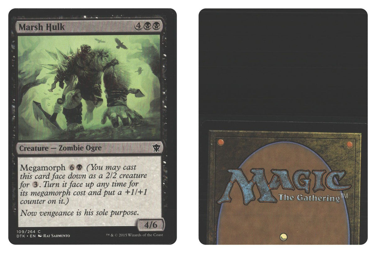 Front + Back scan