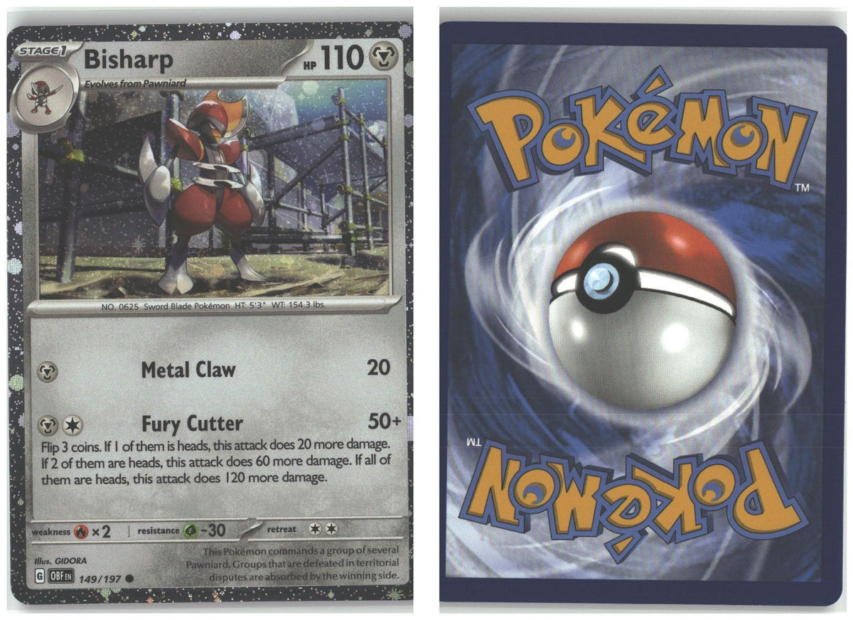 Front + Back scan