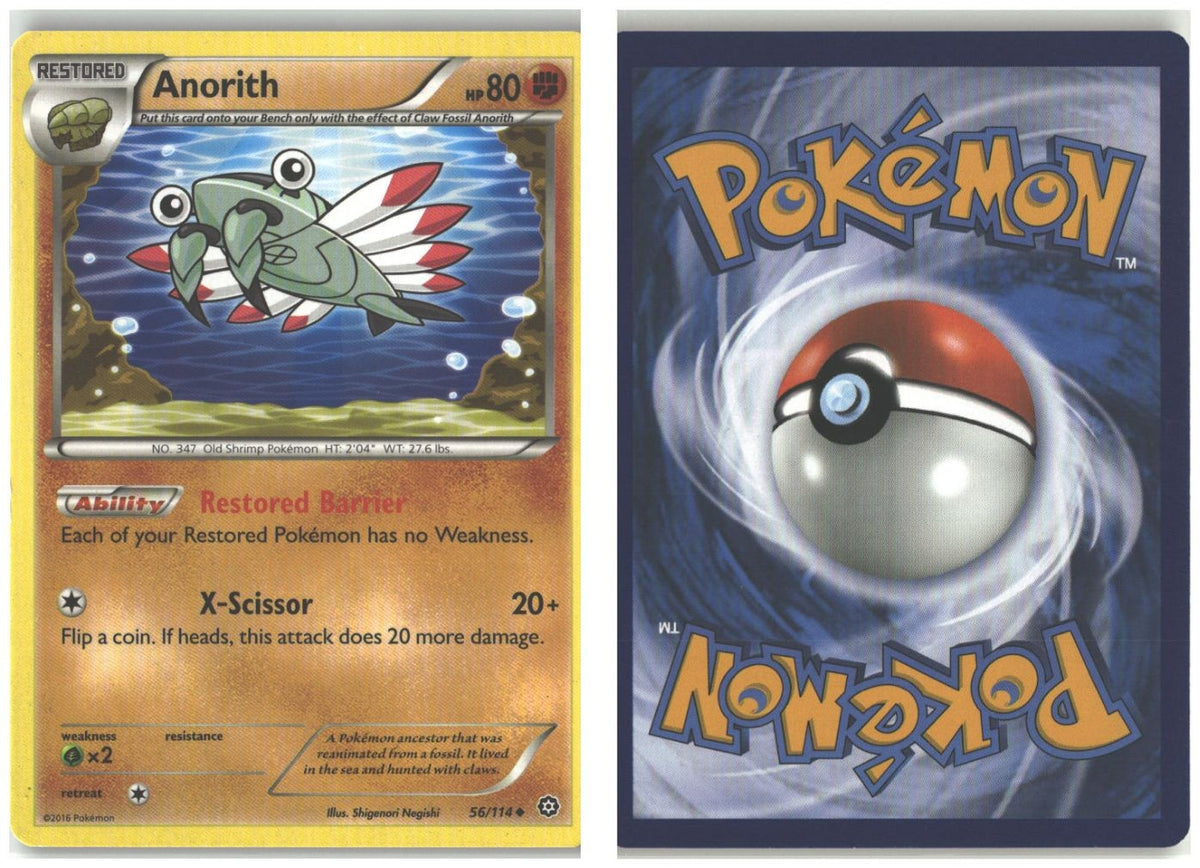 Front + Back scan
