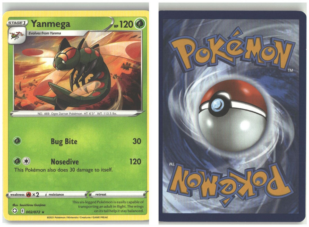 Front + Back scan