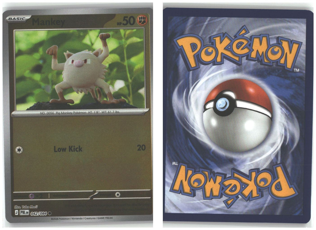 Front + Back scan