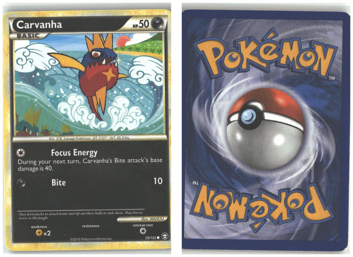 Front + Back scan