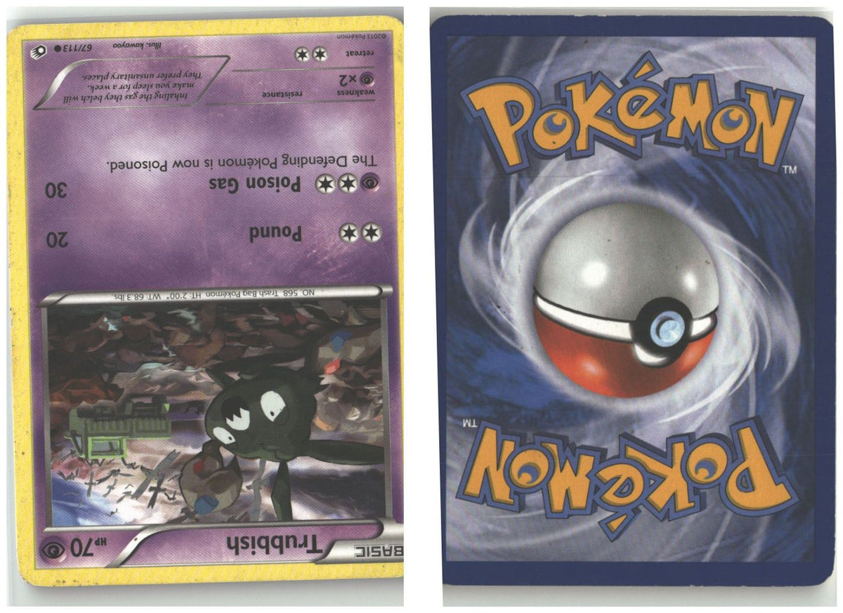 Front + Back scan