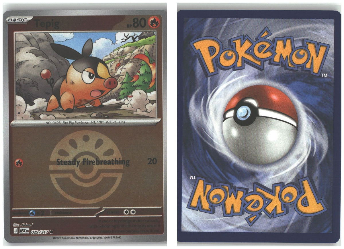 Front + Back scan