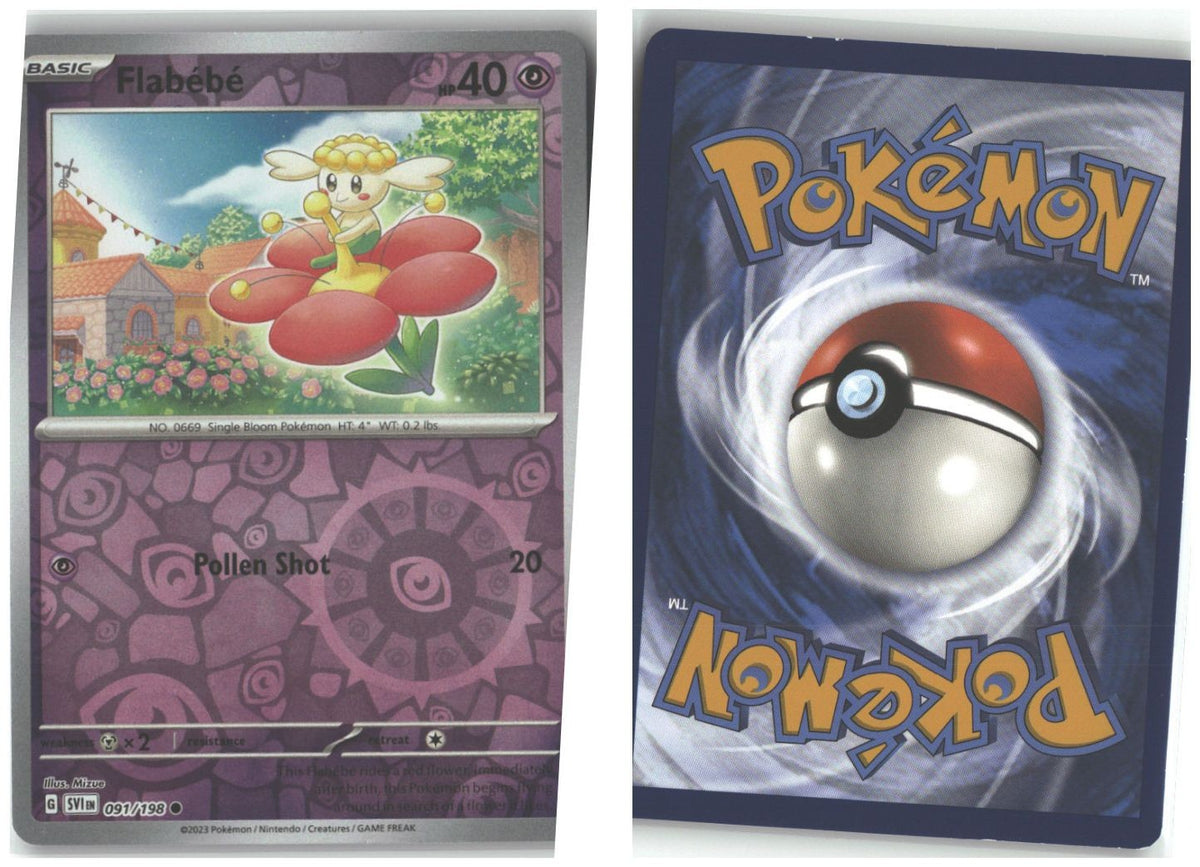 Front + Back scan