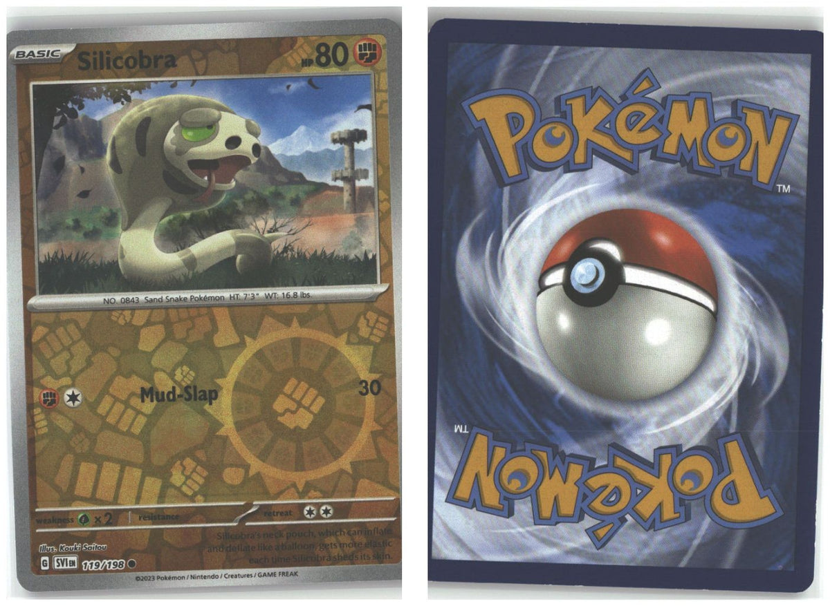 Front + Back scan