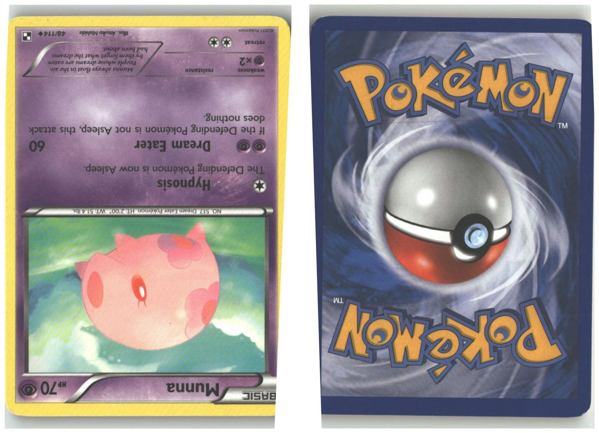 Front + Back scan