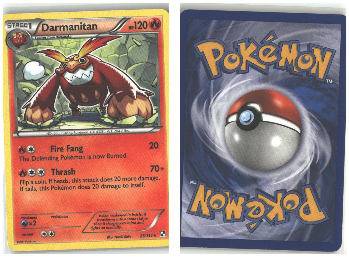 Front + Back scan