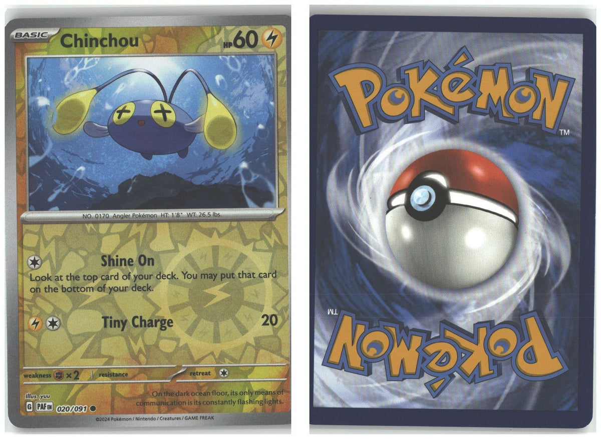 Front + Back scan