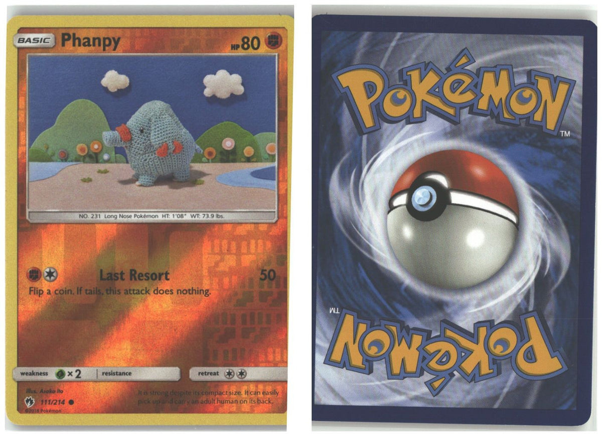 Front + Back scan