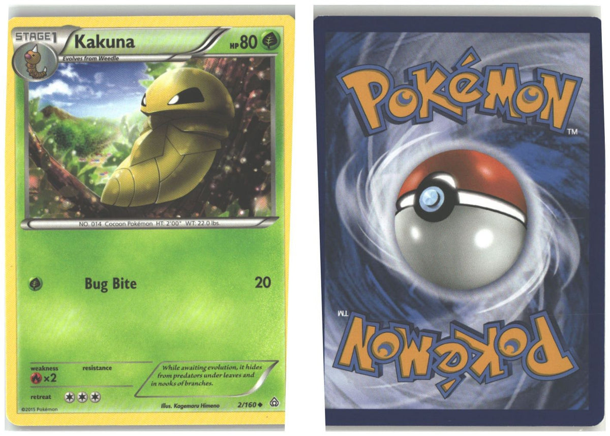 Front + Back scan