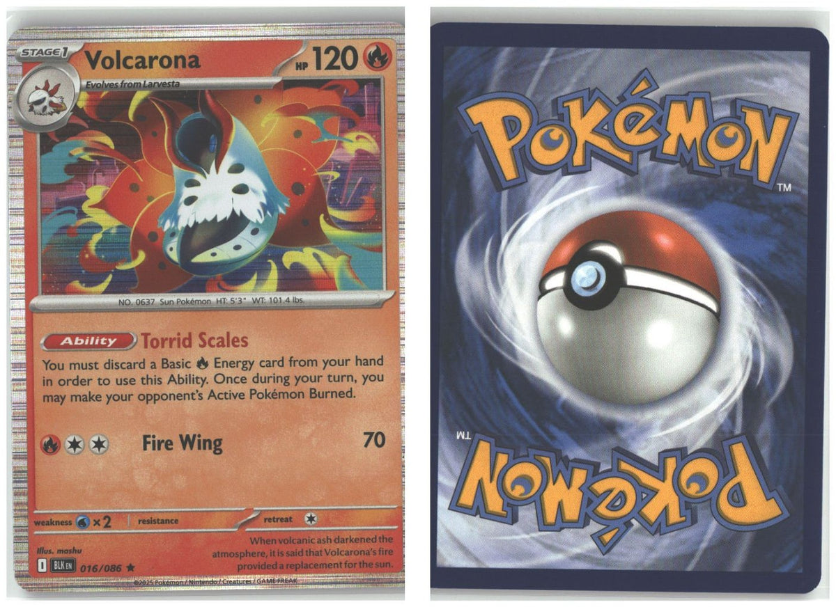 Front + Back scan