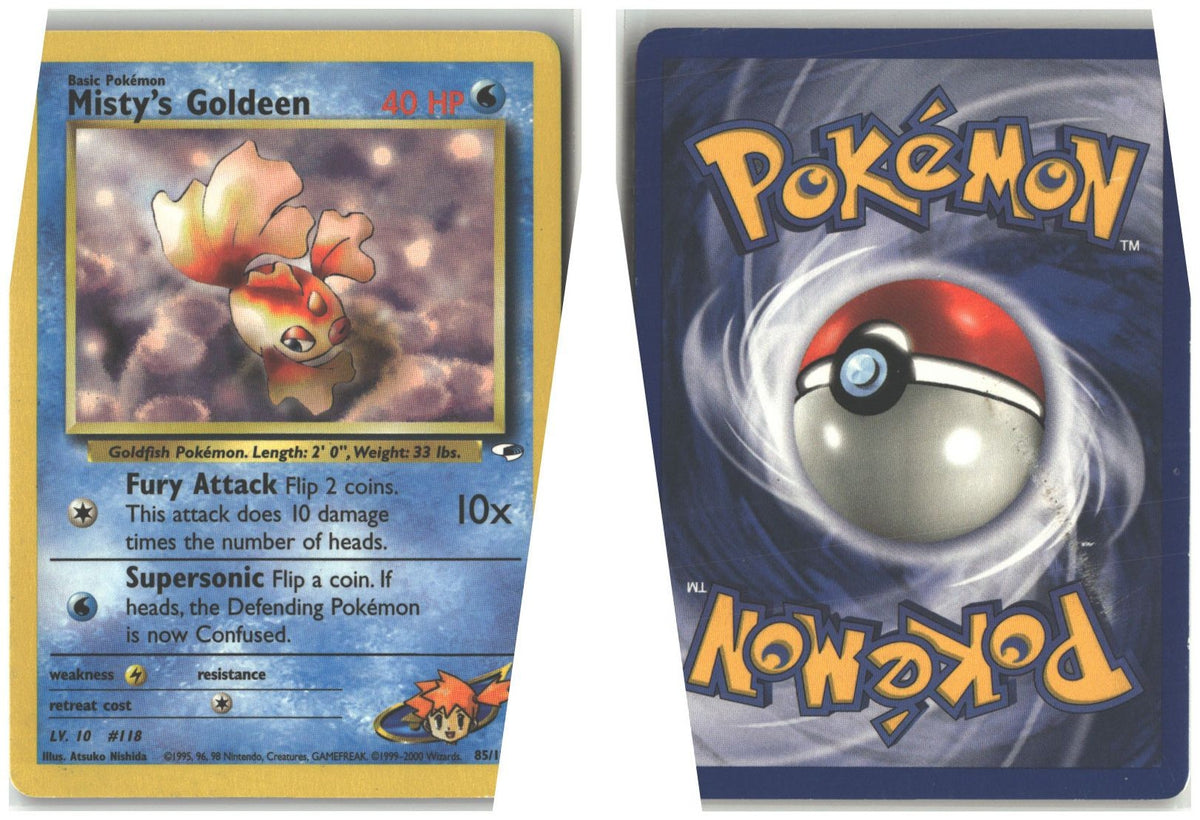 Front + Back scan