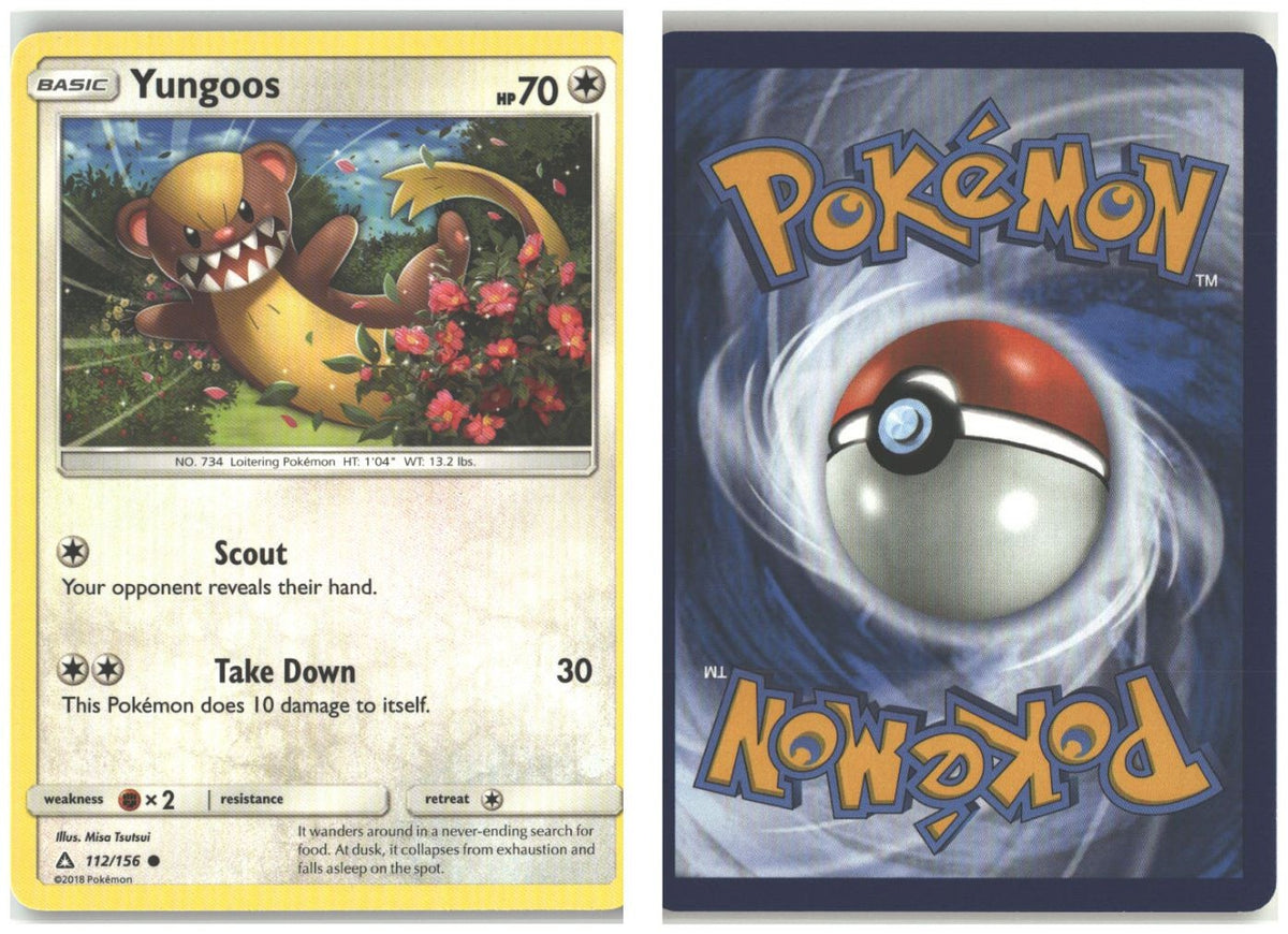 Front + Back scan