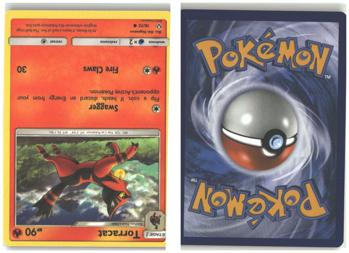 Front + Back scan