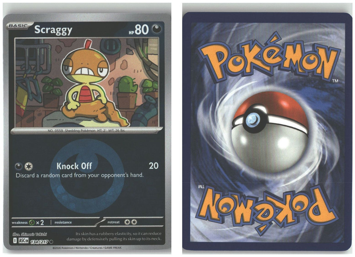Front + Back scan