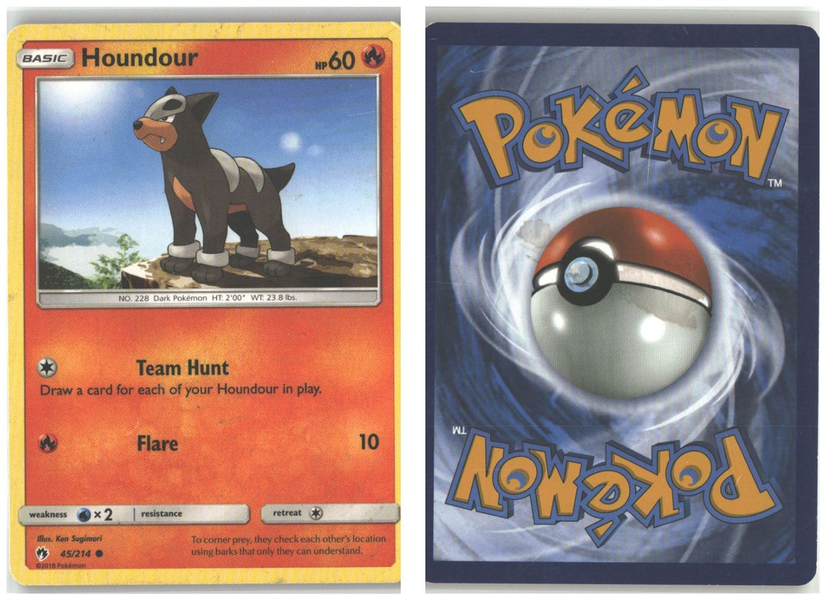 Front + Back scan