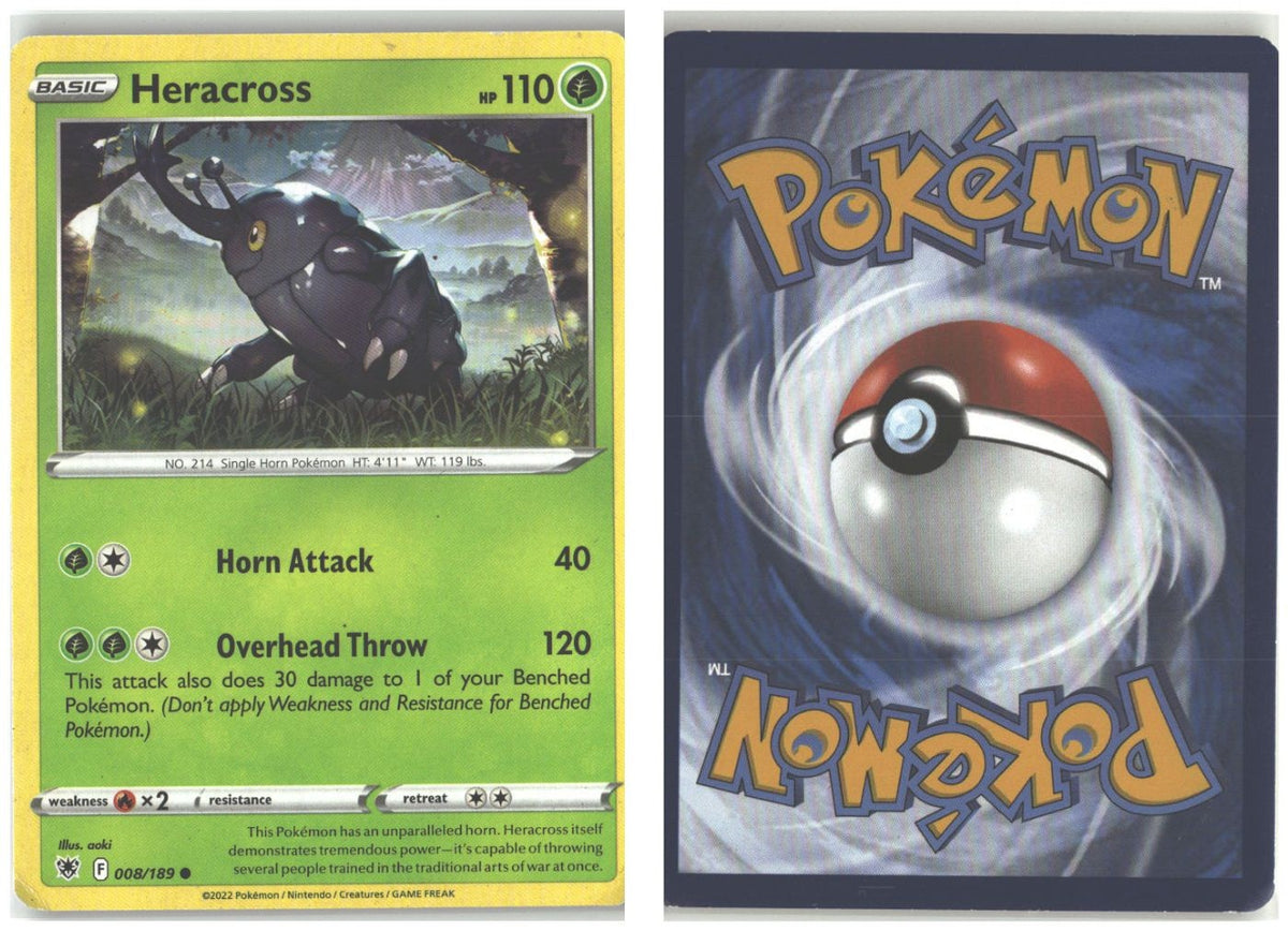Front + Back scan