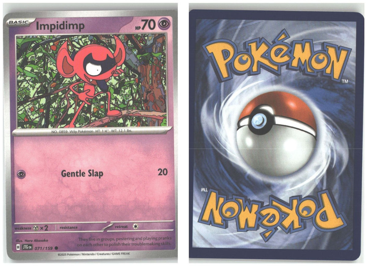 Front + Back scan