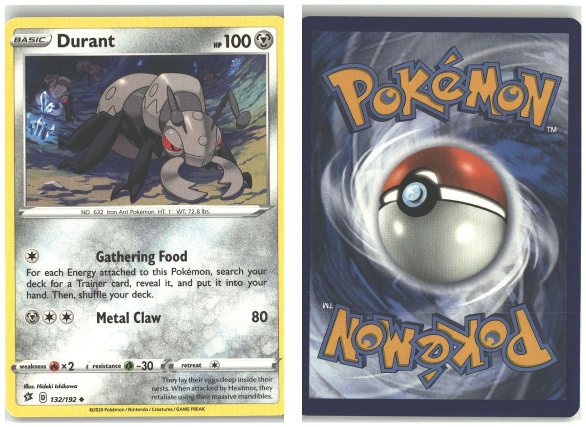 Front + Back scan