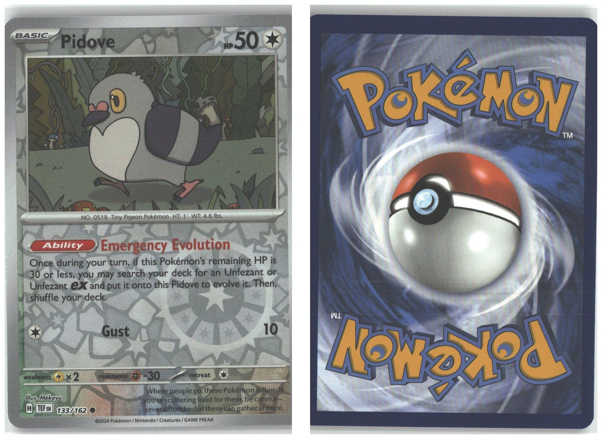 Front + Back scan