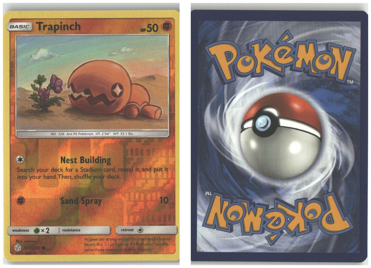 Front + Back scan