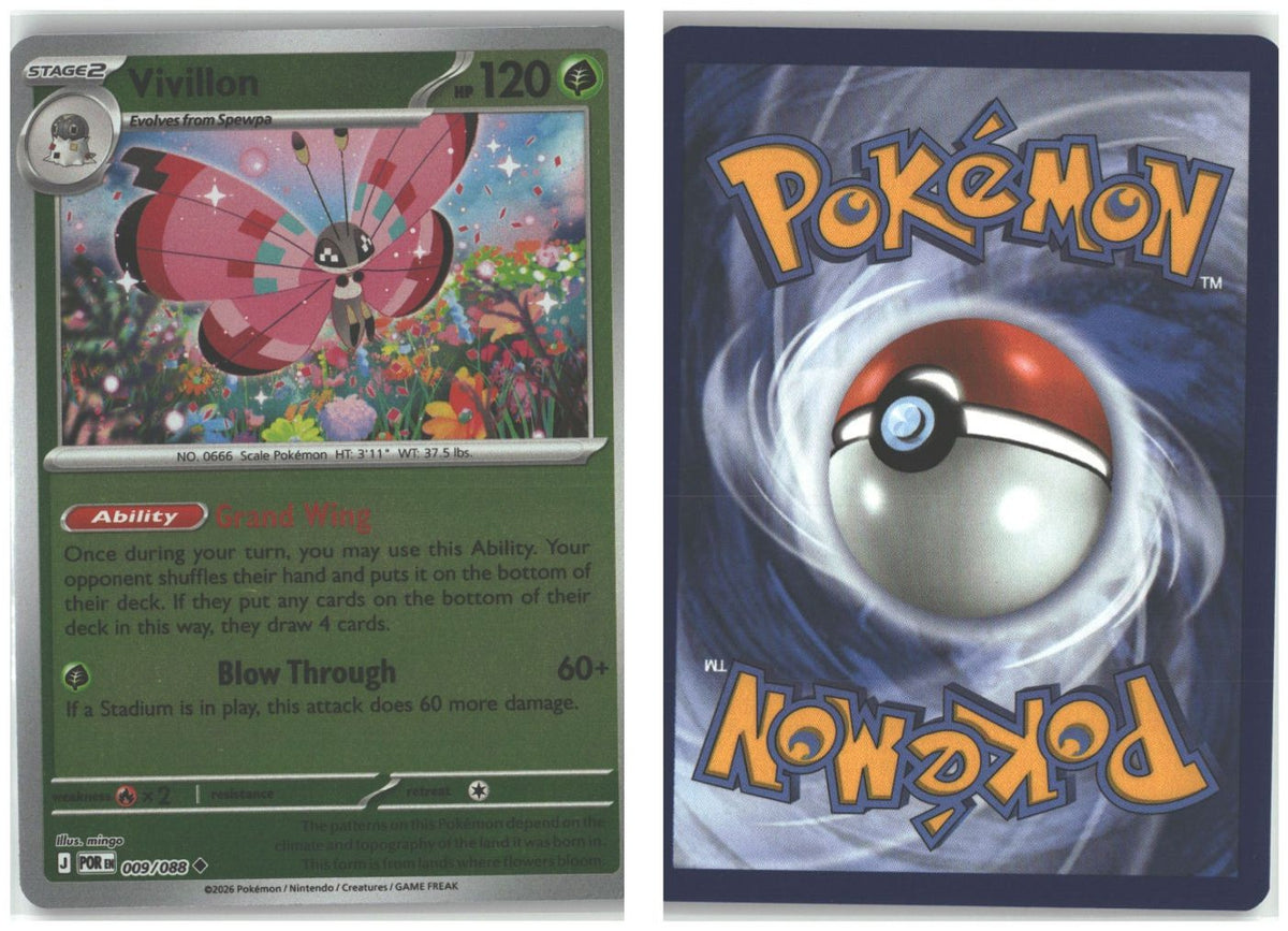 Front + Back scan