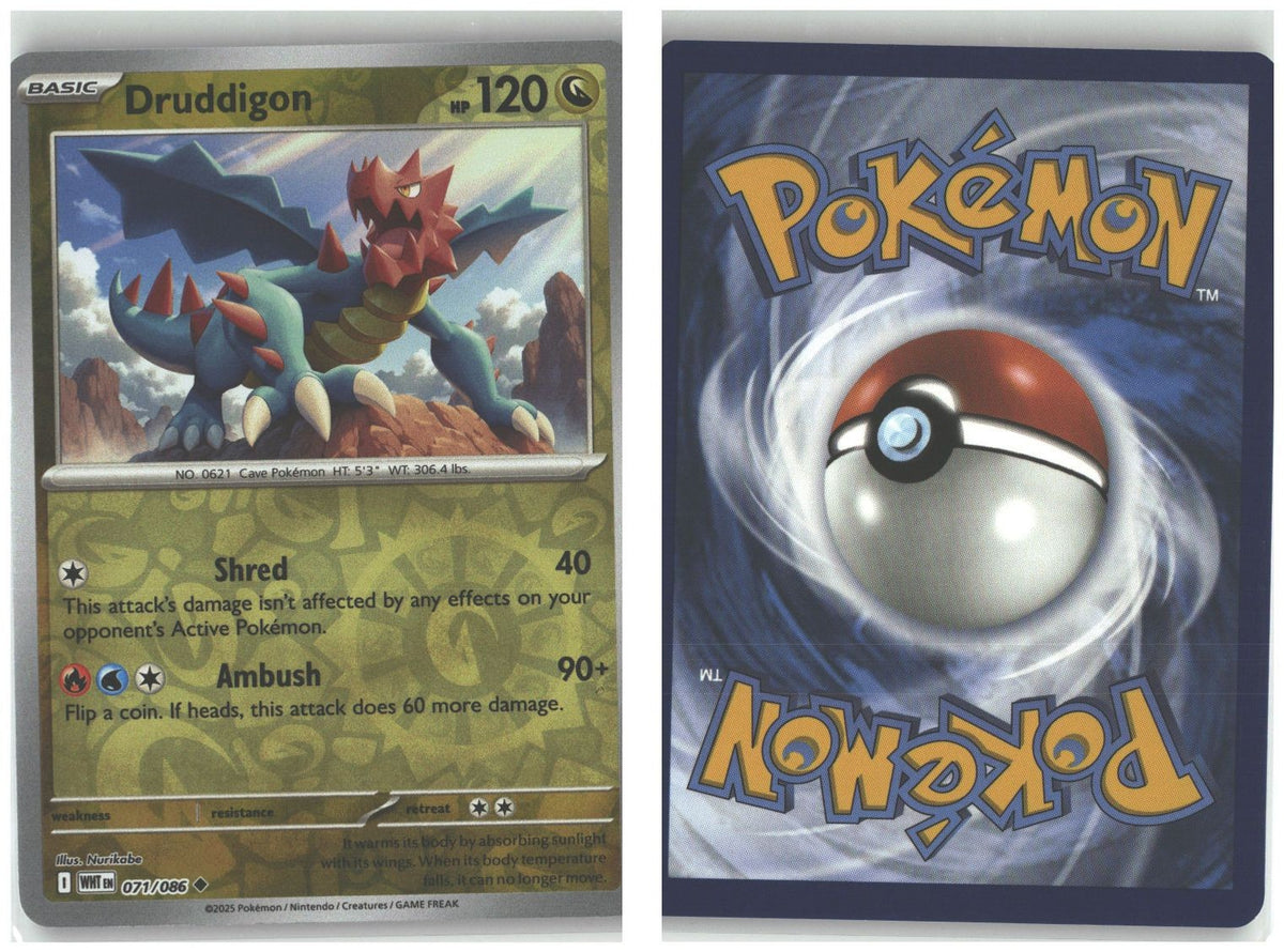 Front + Back scan
