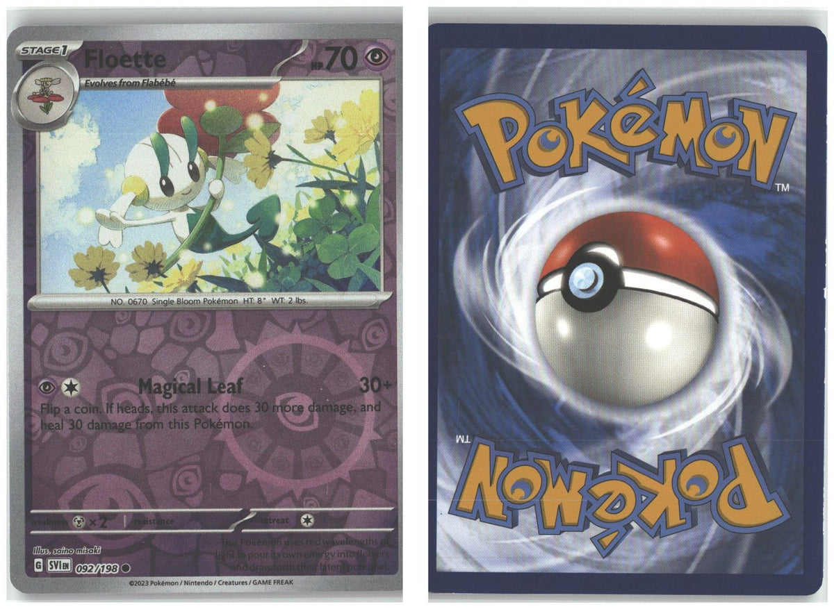 Front + Back scan