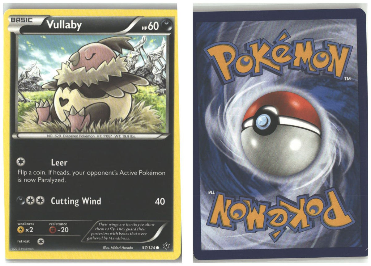 Front + Back scan