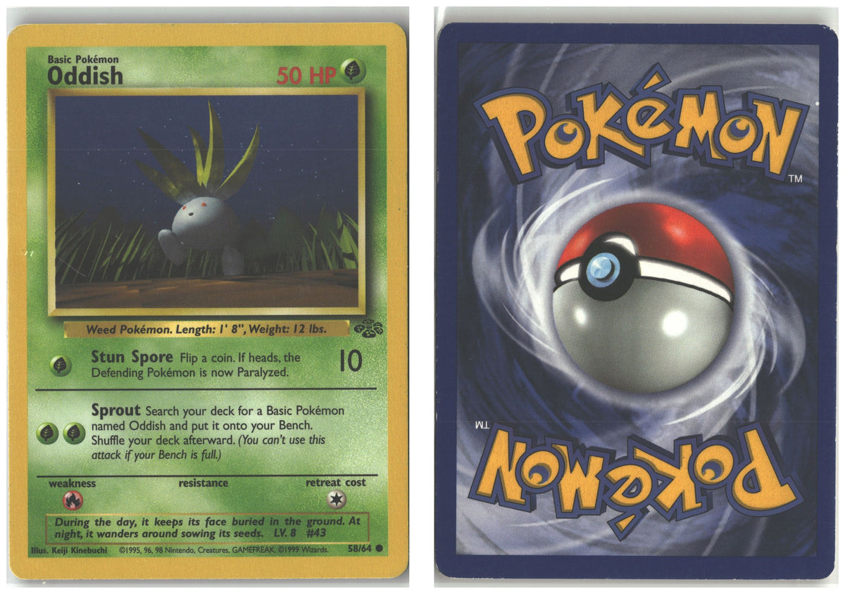 Front + Back scan