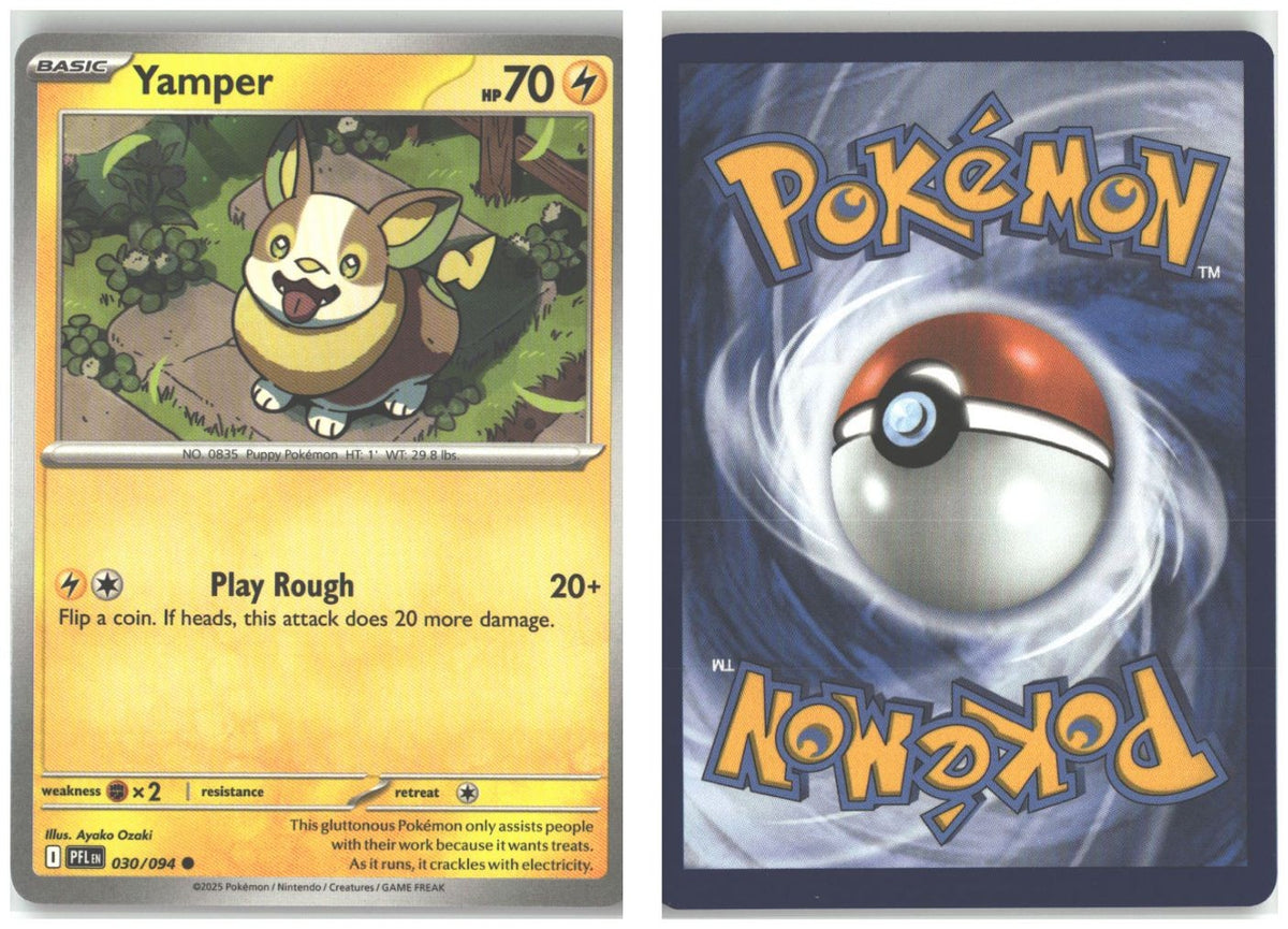 Front + Back scan