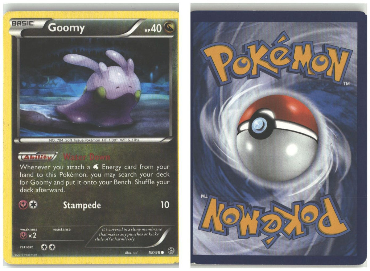 Front + Back scan