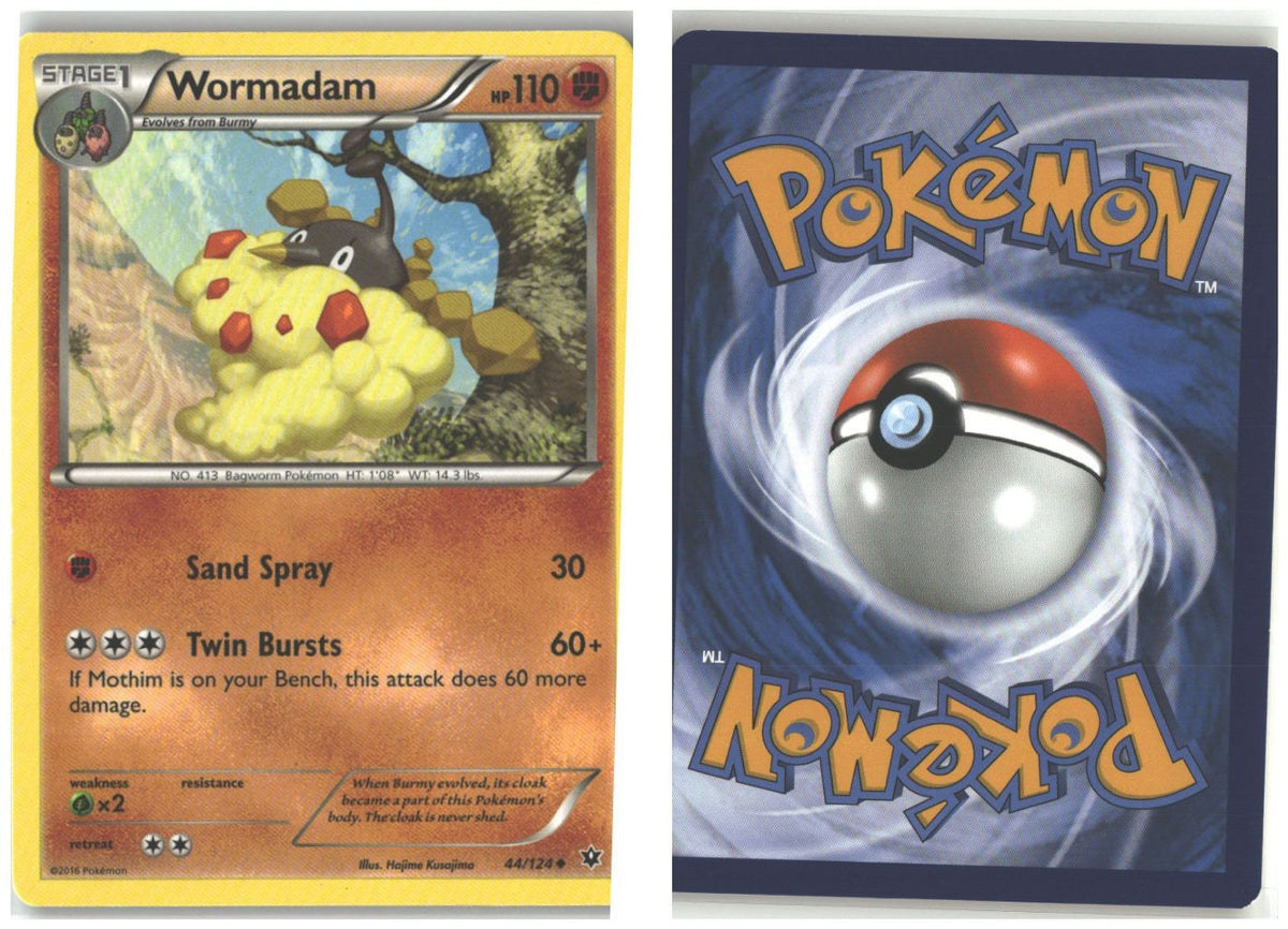 Front + Back scan