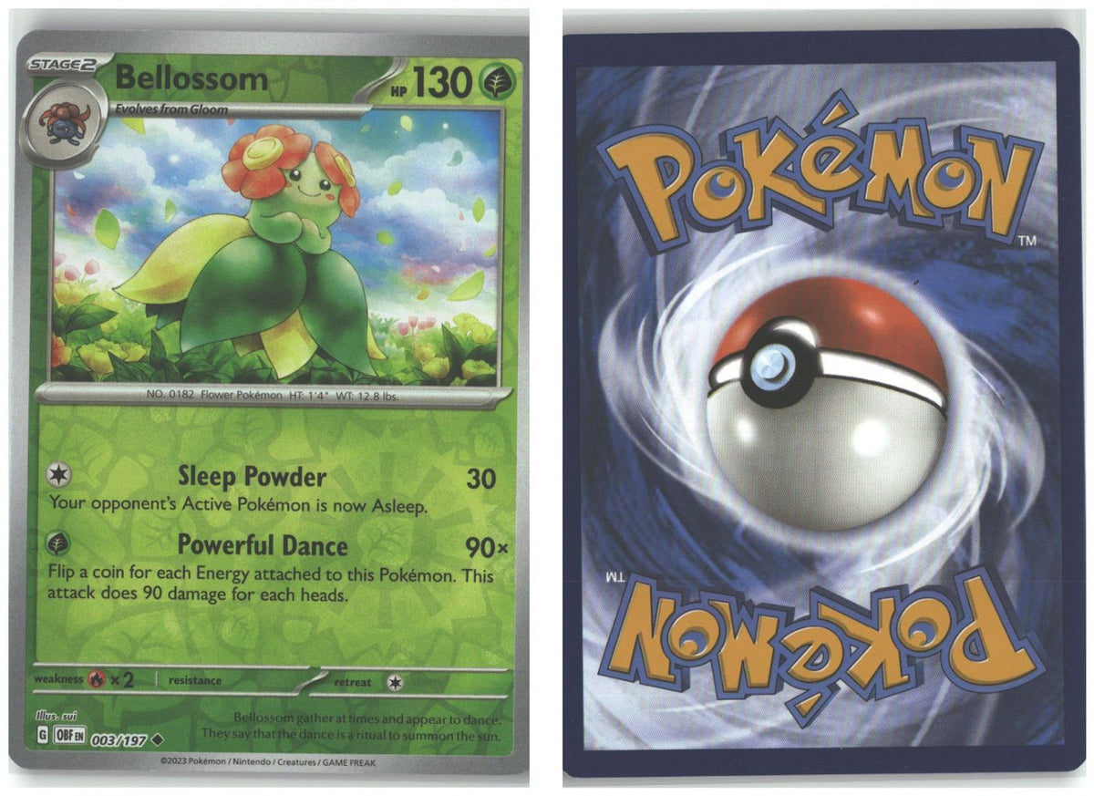 Front + Back scan