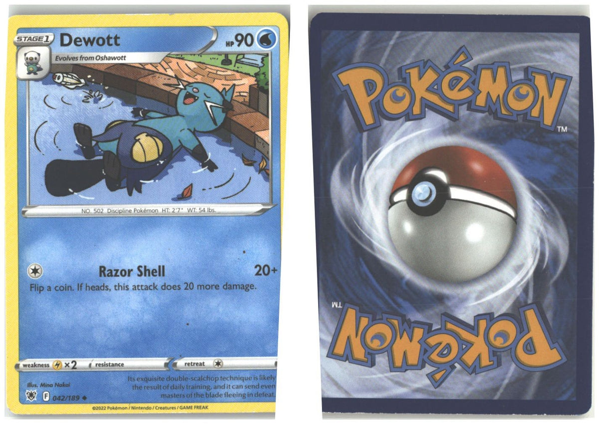 Front + Back scan