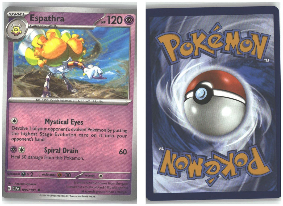Front + Back scan