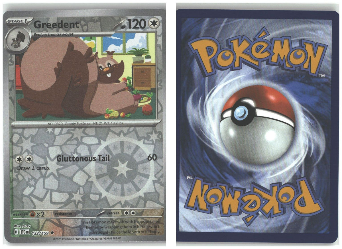 Front + Back scan