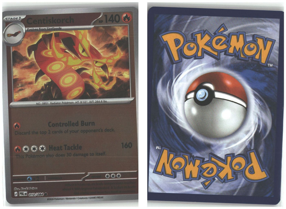 Front + Back scan